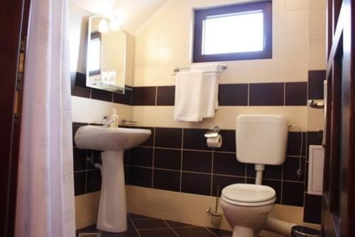 Гостевой дом Pension Casa Ali & Andu Буштени-18