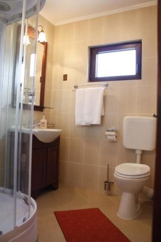 Гостевой дом Pension Casa Ali & Andu Буштени-32