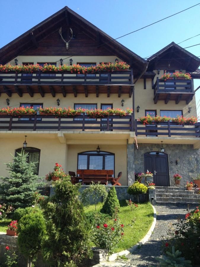 Гостевой дом Pension Casa Ali & Andu Буштени-40