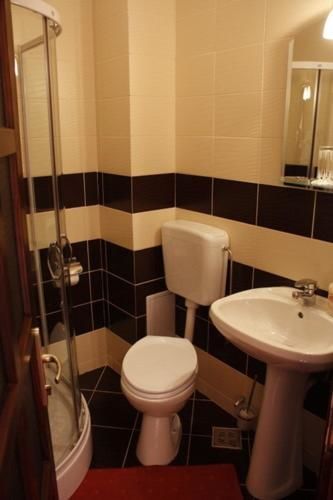 Гостевой дом Pension Casa Ali & Andu Буштени-48